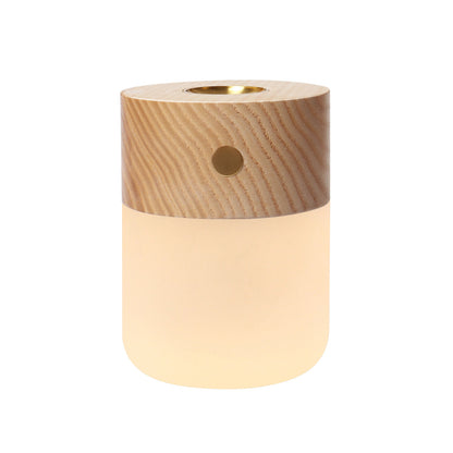 Human Body Motion Sensor LED Night Light