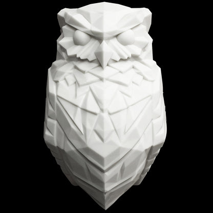 3D Owl Eagle LED Night Light | Decorative Wall Lamp